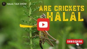 Are crickets halal?